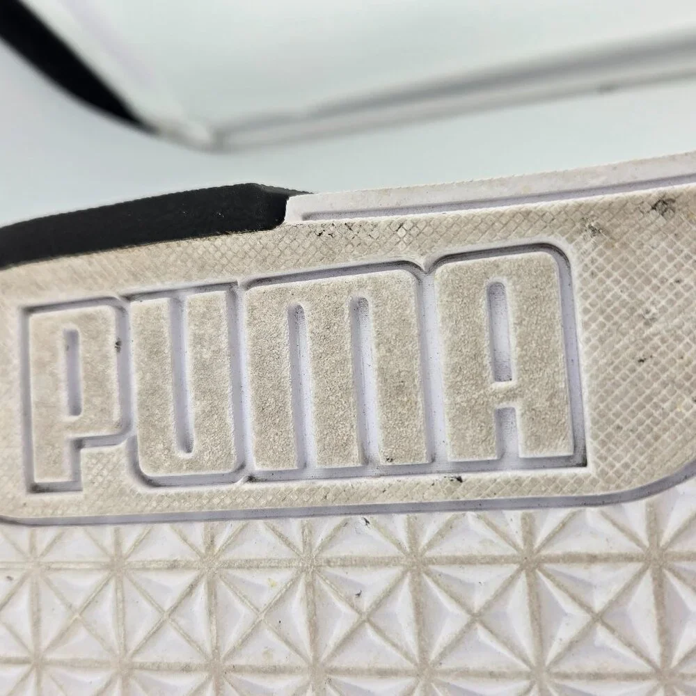 Puma el rey